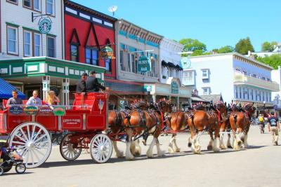 Horse-drawn carriage