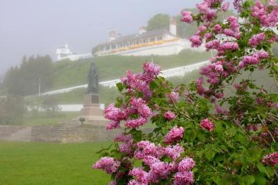 Flowers and statue