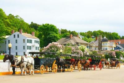 Horse-drawn carriage